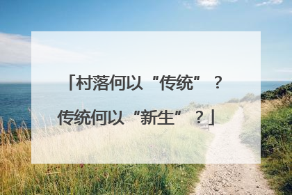 村落何以“传统”？传统何以“新生”？