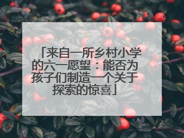 来自一所乡村小学的六一愿望：能否为孩子们制造一个关于探索的惊喜