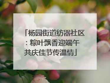 杨园街道纺器社区：粽叶飘香迎端午 共庆佳节传温情