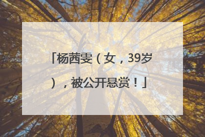 杨茜雯（女，39岁），被公开悬赏！