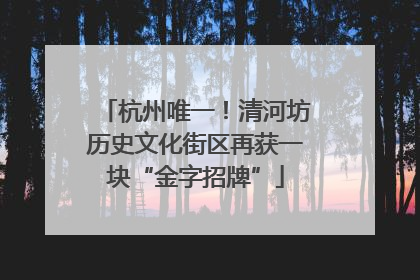 杭州唯一！清河坊历史文化街区再获一块“金字招牌”