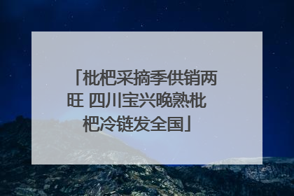 枇杷采摘季供销两旺 四川宝兴晚熟枇杷冷链发全国