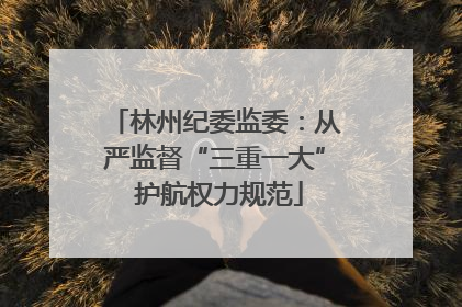 林州纪委监委：从严监督“三重一大” 护航权力规范