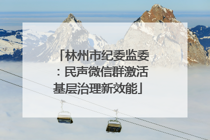 林州市纪委监委：民声微信群激活基层治理新效能