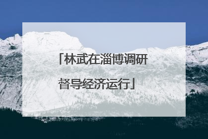 林武在淄博调研督导经济运行