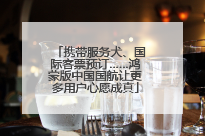 携带服务犬、国际客票预订……鸿蒙版中国国航让更多用户心愿成真