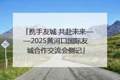 携手友城 共赴未来——2025黄河口国际友城合作交流会侧记
