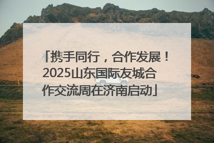 携手同行，合作发展！2025山东国际友城合作交流周在济南启动