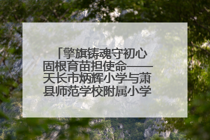 擎旗铸魂守初心 固根育苗担使命——天长市炳辉小学与萧县师范学校附属小学结对共建活动纪实