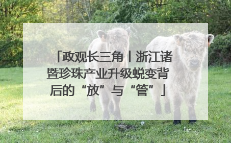 政观长三角丨浙江诸暨珍珠产业升级蜕变背后的“放”与“管”