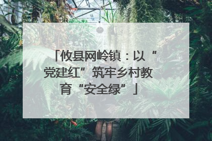 攸县网岭镇：以“党建红”筑牢乡村教育“安全绿”