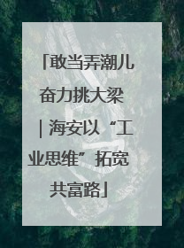 敢当弄潮儿 奋力挑大梁｜海安以“工业思维”拓宽共富路