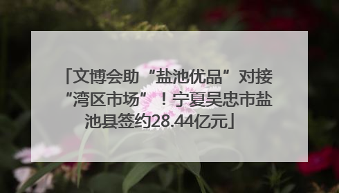 文博会助“盐池优品”对接“湾区市场”！宁夏吴忠市盐池县签约28.44亿元
