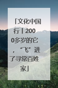 文化中国行丨2000多岁的它，“飞”进了寻常百姓家