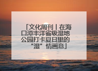 文化周刊丨在海口潭丰洋省级湿地公园打卡夏日里的“湿”情画意