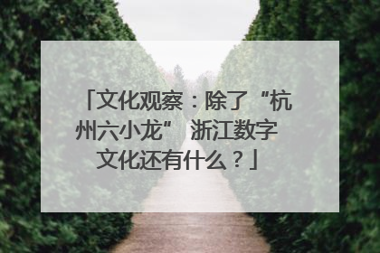 文化观察：除了“杭州六小龙” 浙江数字文化还有什么？