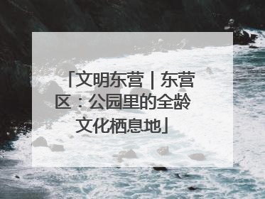 文明东营｜东营区：公园里的全龄文化栖息地