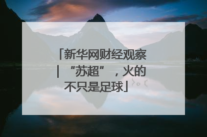新华网财经观察｜“苏超”，火的不只是足球