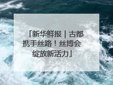 新华鲜报｜古都携手丝路！丝博会绽放新活力