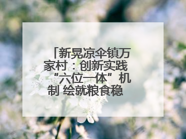 新晃凉伞镇万家村：创新实践“六位一体”机制 绘就粮食稳产增收新图景