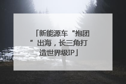 新能源车“抱团”出海，长三角打造世界级IP