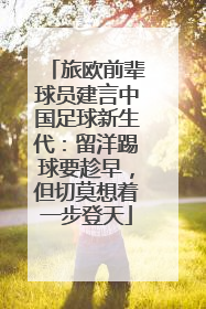 旅欧前辈球员建言中国足球新生代：留洋踢球要趁早，但切莫想着一步登天