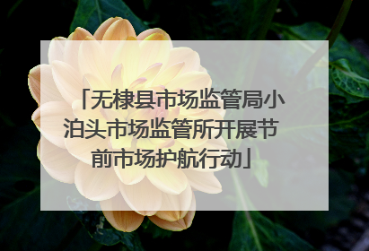 无棣县市场监管局小泊头市场监管所开展节前市场护航行动