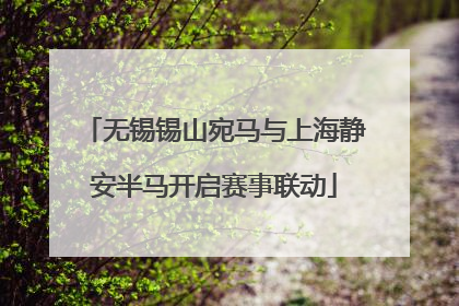 无锡锡山宛马与上海静安半马开启赛事联动