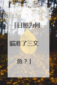 日照为何瞄准了三文鱼？