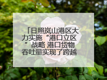 日照岚山港区大力实施“港口立区”战略 港口货物吞吐量实现了跨越式增长