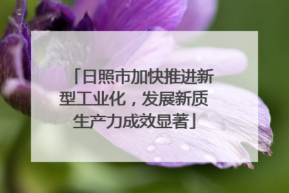 日照市加快推进新型工业化，发展新质生产力成效显著