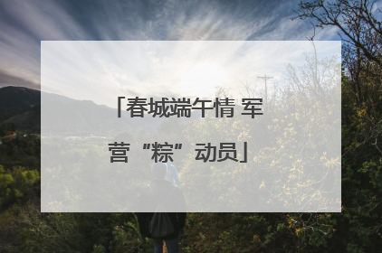 春城端午情 军营“粽”动员
