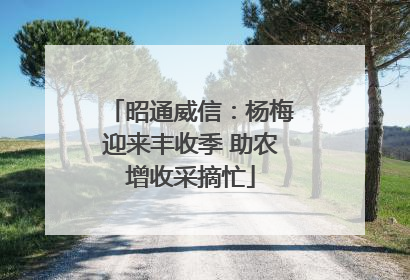 昭通威信：杨梅迎来丰收季 助农增收采摘忙
