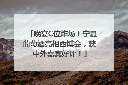 晚宴C位炸场！宁夏葡萄酒亮相西博会，获中外嘉宾好评！