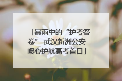 暴雨中的“护考答卷” 武汉新洲公安暖心护航高考首日