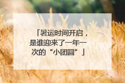 暑运时间开启，是谁迎来了一年一次的“小团圆”