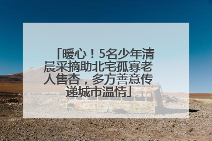 暖心！5名少年清晨采摘助北宅孤寡老人售杏，多方善意传递城市温情