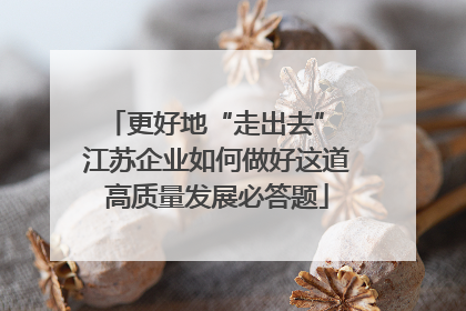 更好地“走出去” 江苏企业如何做好这道高质量发展必答题