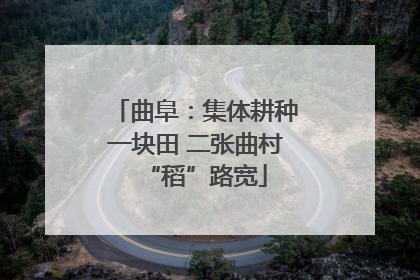 曲阜：集体耕种一块田 二张曲村“稻”路宽