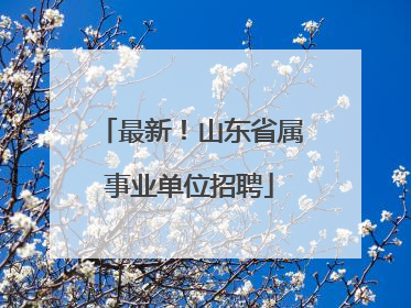 最新！山东省属事业单位招聘