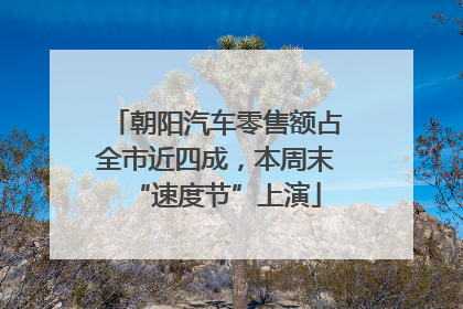 朝阳汽车零售额占全市近四成，本周末“速度节”上演