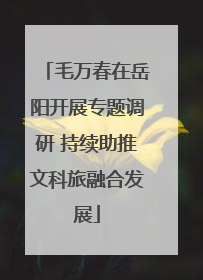 毛万春在岳阳开展专题调研 持续助推文科旅融合发展