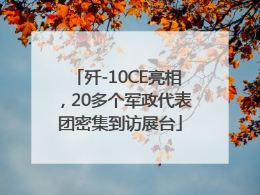 歼-10CE亮相，20多个军政代表团密集到访展台