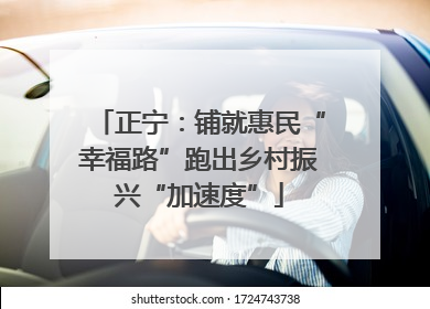 正宁：铺就惠民“幸福路”跑出乡村振兴“加速度”