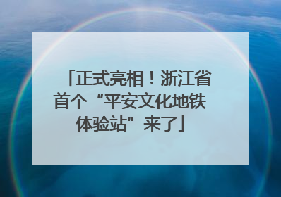正式亮相！浙江省首个“平安文化地铁体验站”来了