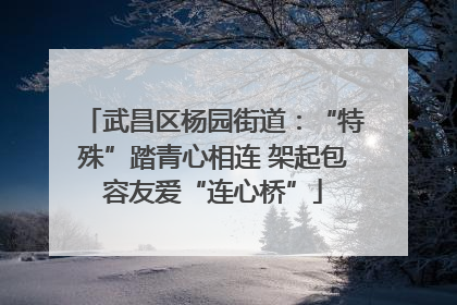 武昌区杨园街道：“特殊”踏青心相连 架起包容友爱“连心桥”