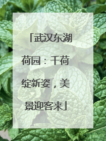 武汉东湖荷园：千荷绽新姿，美景迎客来