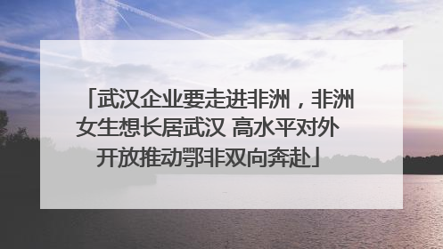 武汉企业要走进非洲，非洲女生想长居武汉 高水平对外开放推动鄂非双向奔赴