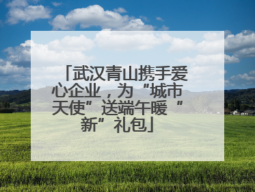 武汉青山携手爱心企业，为“城市天使”送端午暖“新”礼包