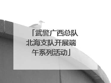 武警广西总队北海支队开展端午系列活动
